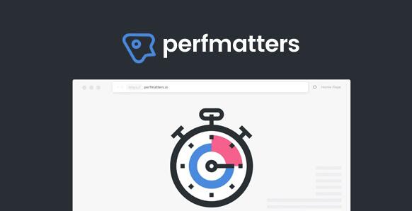 Perfmatters v2.2.8免激活版（已汉化） - WordPress性能优化插件