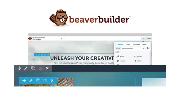 Beaver Builder Professional v2.5.3.1破解版（已汉化） - 页面构建器插件
