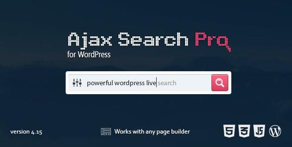 Ajax Search Pro v4.22（已汉化）  – 实时WordPress搜索和过滤器插件