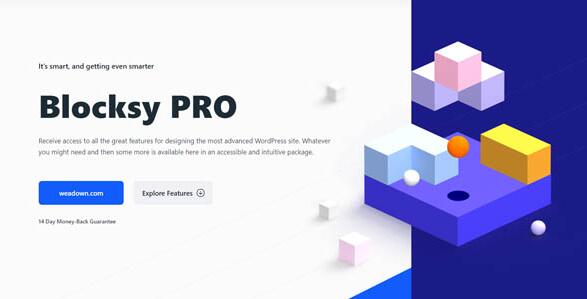 Blocksy Companion Premium v1.8.25破解版（已汉化）