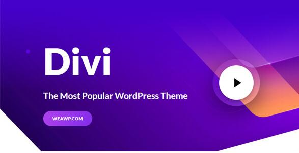Divi Theme v4.17.3（已汉化） – 最受欢迎的WordPress主题