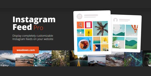 Custom Instagram Feed Pro v6.5.1（已汉化） – WordPress Instagram 订阅源插件