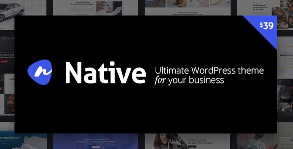 Native v1.6.1 – 时尚的多功能创意WordPress主题