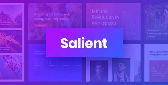 Salient v14.0.5 – WordPress响应式多用途主题