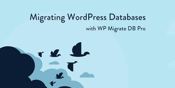 WP Migrate DB Pro v2.2.1破解版 – WordPress数据库迁移插件