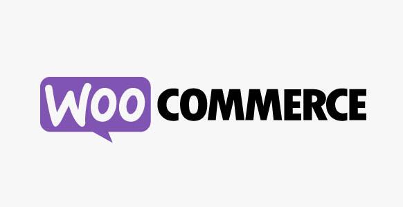 WooCommerce Group Coupons v2.11.0（已汉化）