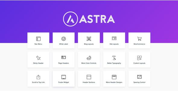 Astra Pro v4.10.1（已汉化）–使用Pro插件扩展Astra主题