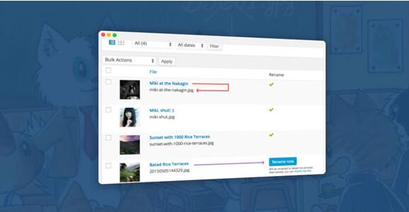 Media File Renamer Pro v5.3.8 破解版（已汉化）