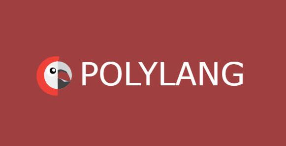 Polylang Pro v3.2.2（已汉化） – WordPress翻译插件