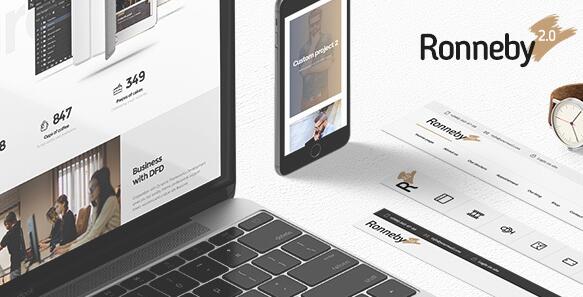 Ronneby v3.3.9破解版 – WordPress高性能主题