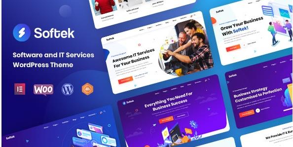 Softek v2.0.0（已汉化） – WordPress软件IT行业主题