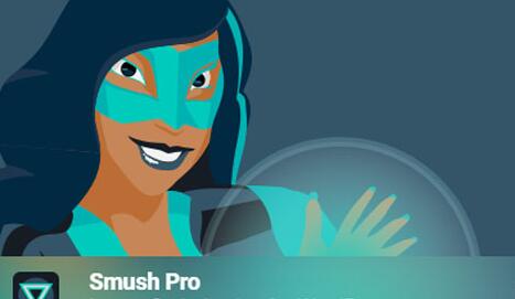 WP Smush Pro v3.18.1（已汉化）– WordPress图像优化插件