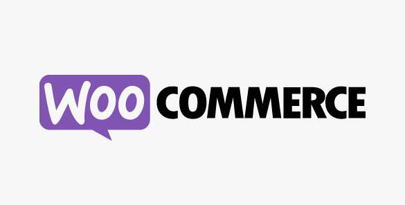 Bulk Table Editor for WooCommerce v2.2.13破解版（已汉化） – WooCommerce表批量编辑器