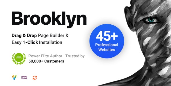 Brooklyn v4.9.7.3破解版 – WordPress多功能企业主题