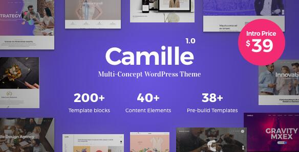 Camille v1.9.0 – 多概念WordPress主题